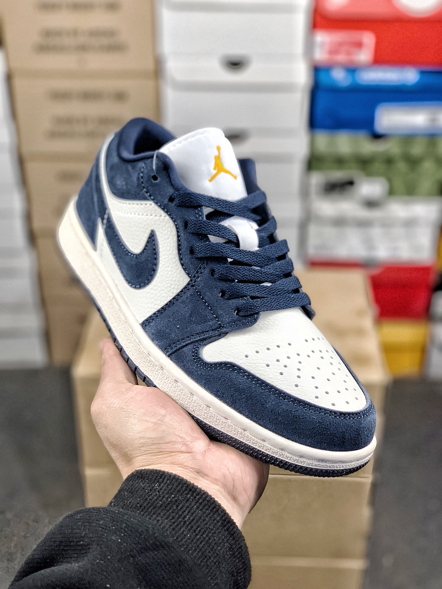 Nike Jordan shoe